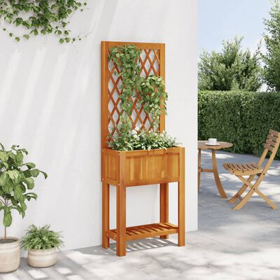 vidaXL Plantekasse med espalier og hylle 55x29,5x152 cm heltre akasie