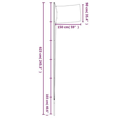 vidaXL Svensk flagg og stang 6,23 m aluminium