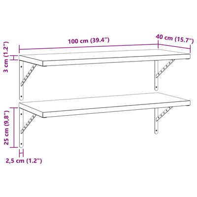 vidaXL Vegghyller 2 stk 100x40 cm svart rustfritt stål