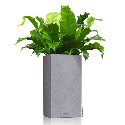 LECHUZA Plantekasse CANTO Stone 40 High ALL-IN-ONE steingrå