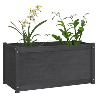 vidaXL Plantekasse 2 stk grå 100x50x50 cm heltre furu