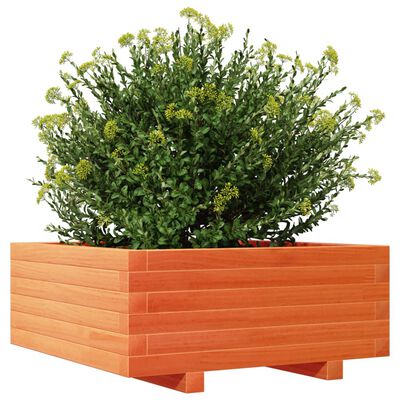 vidaXL Plantekasse voksbrun 60x60x26,5 cm heltre furu