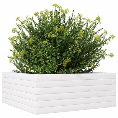 vidaXL Plantekasse hvit 60x60x23 cm heltre furu