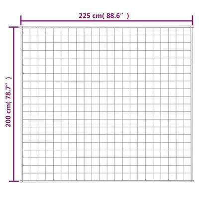 vidaXL Vektdyne grå 200x225 cm 9 kg stoff