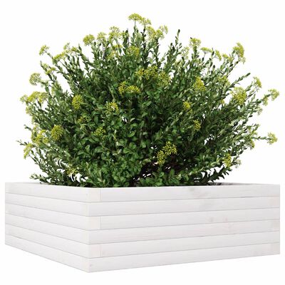 vidaXL Plantekasse hvit 70x70x23 cm heltre furu