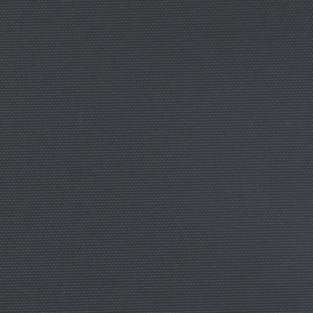 vidaXL Uttrekkbar sidemarkise 200x1000 cm svart